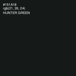 #151A18 - Hunter Green Color Image